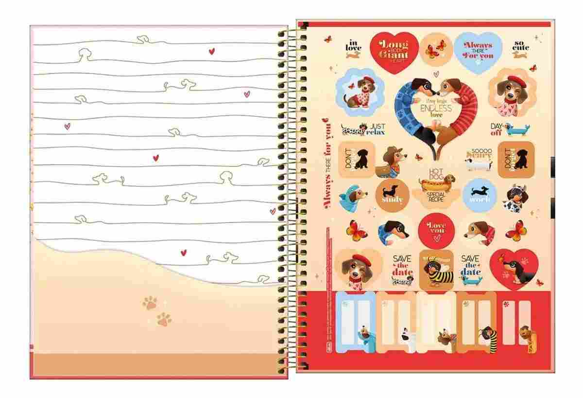 CADERNO 10X1 COLEGIAL BROWNIE